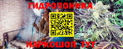 сатива Кизляр