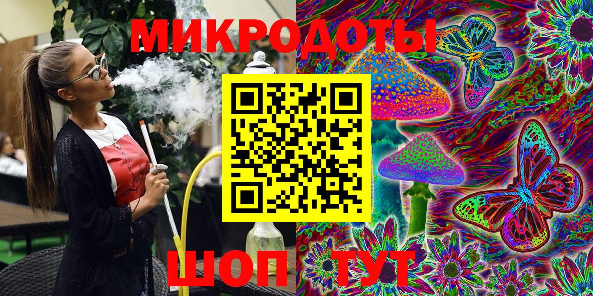 Псилоцибиновые грибы Psilocybine cubensis Выборг